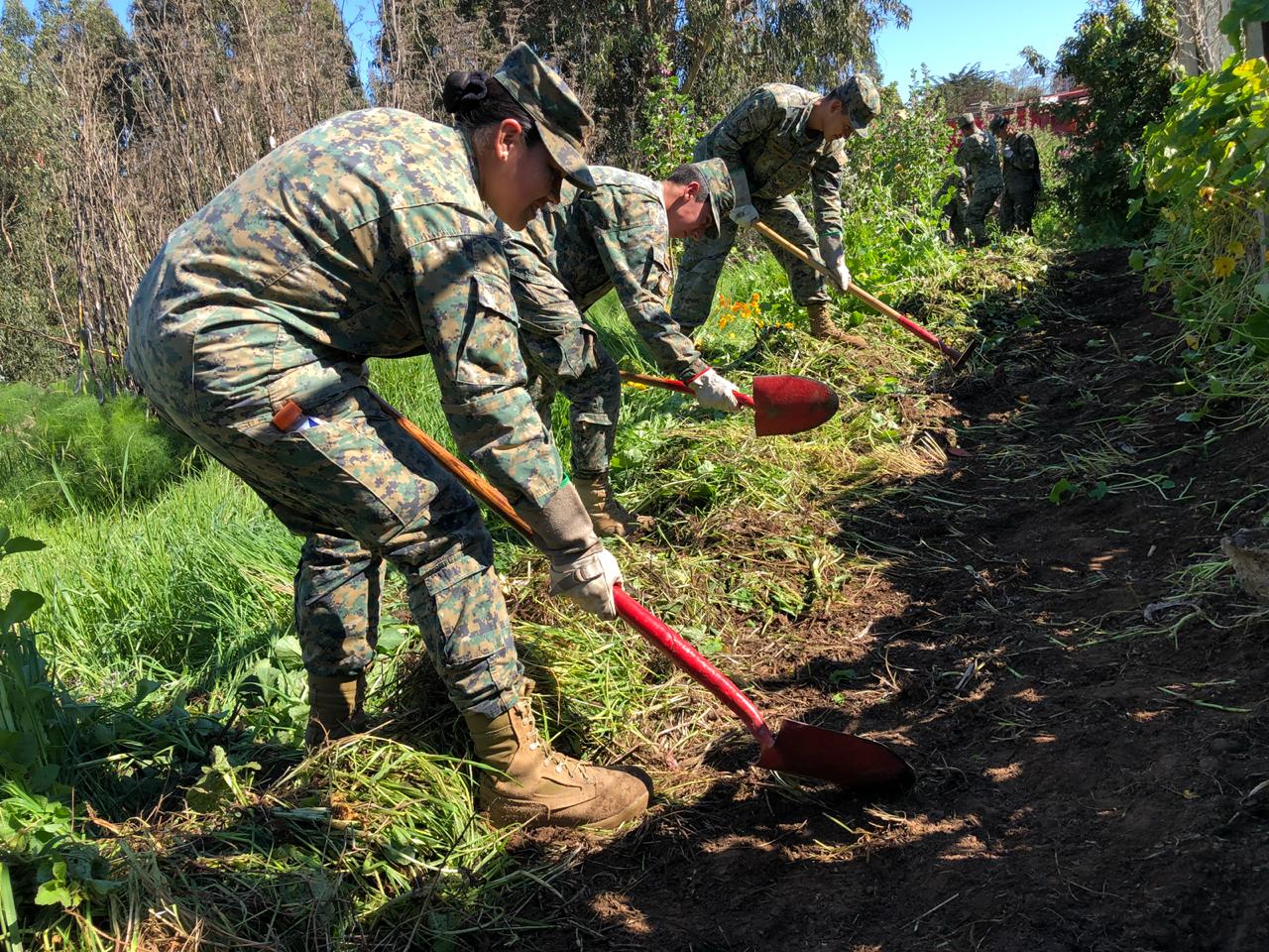 CONAF capacitó a 200 funcionarios del Ejército para combatir incendios forestales en San Antonio