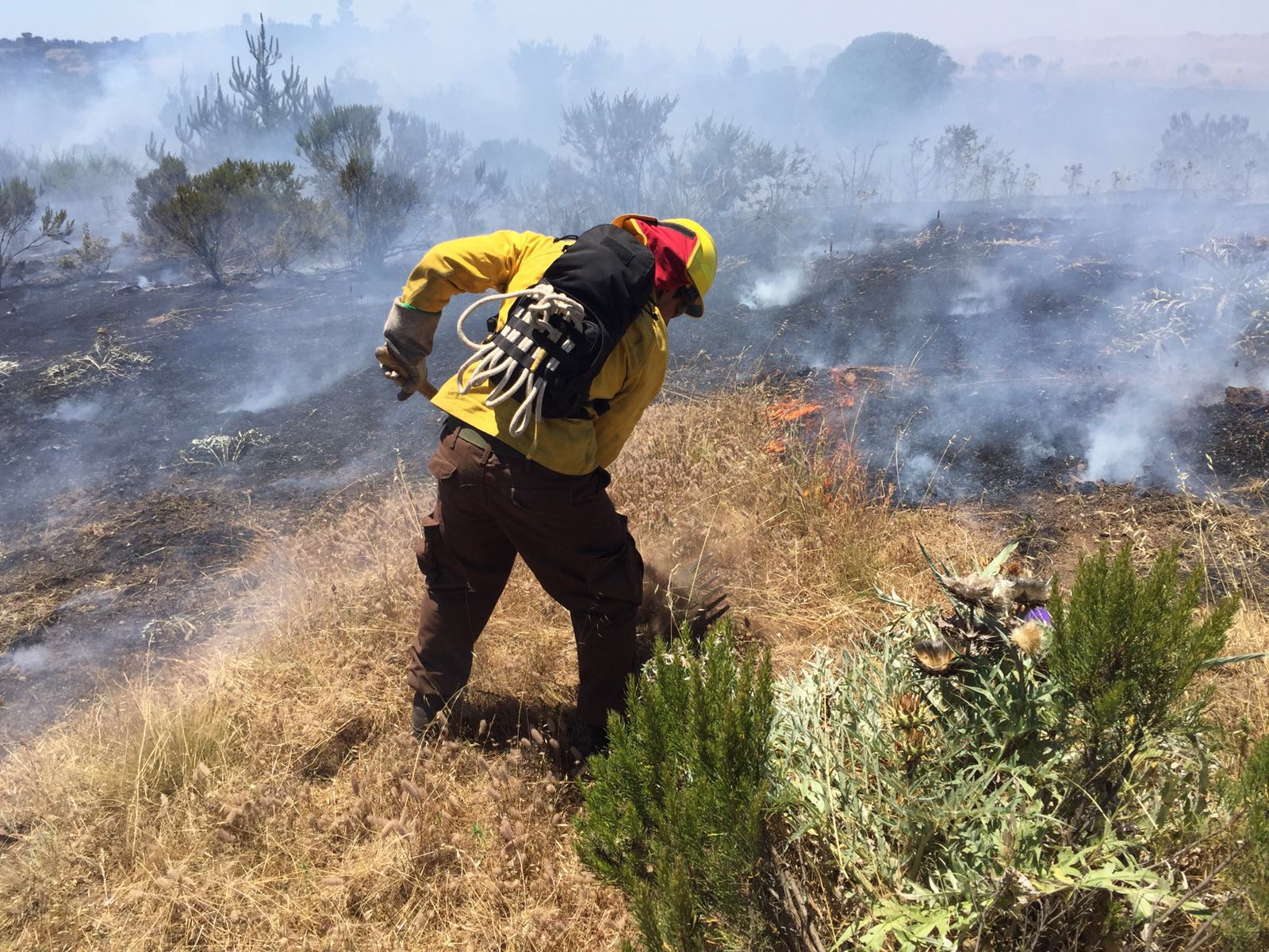 CONAF y Carabineros realizarán  una nueva ronda de patrullajes para prevenir incendios forestales