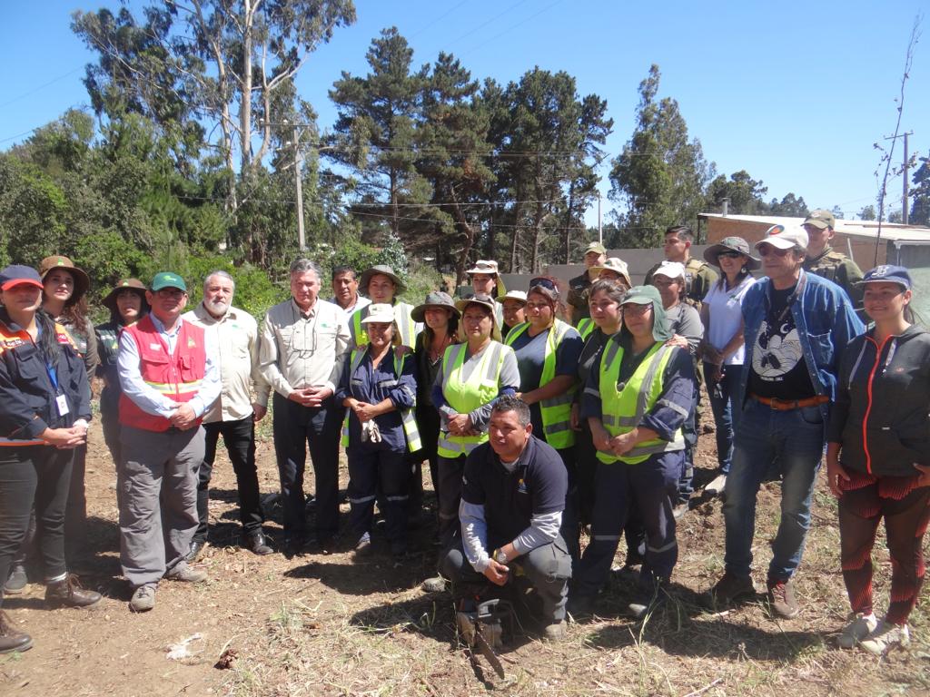 Más de 31 mil kilos de material combustible forestal se han retirado hasta la fecha en Valparaíso