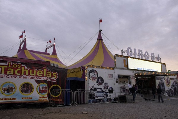 Nieta del Tachuela grande grave tras electrocutarse al exterior del circo
