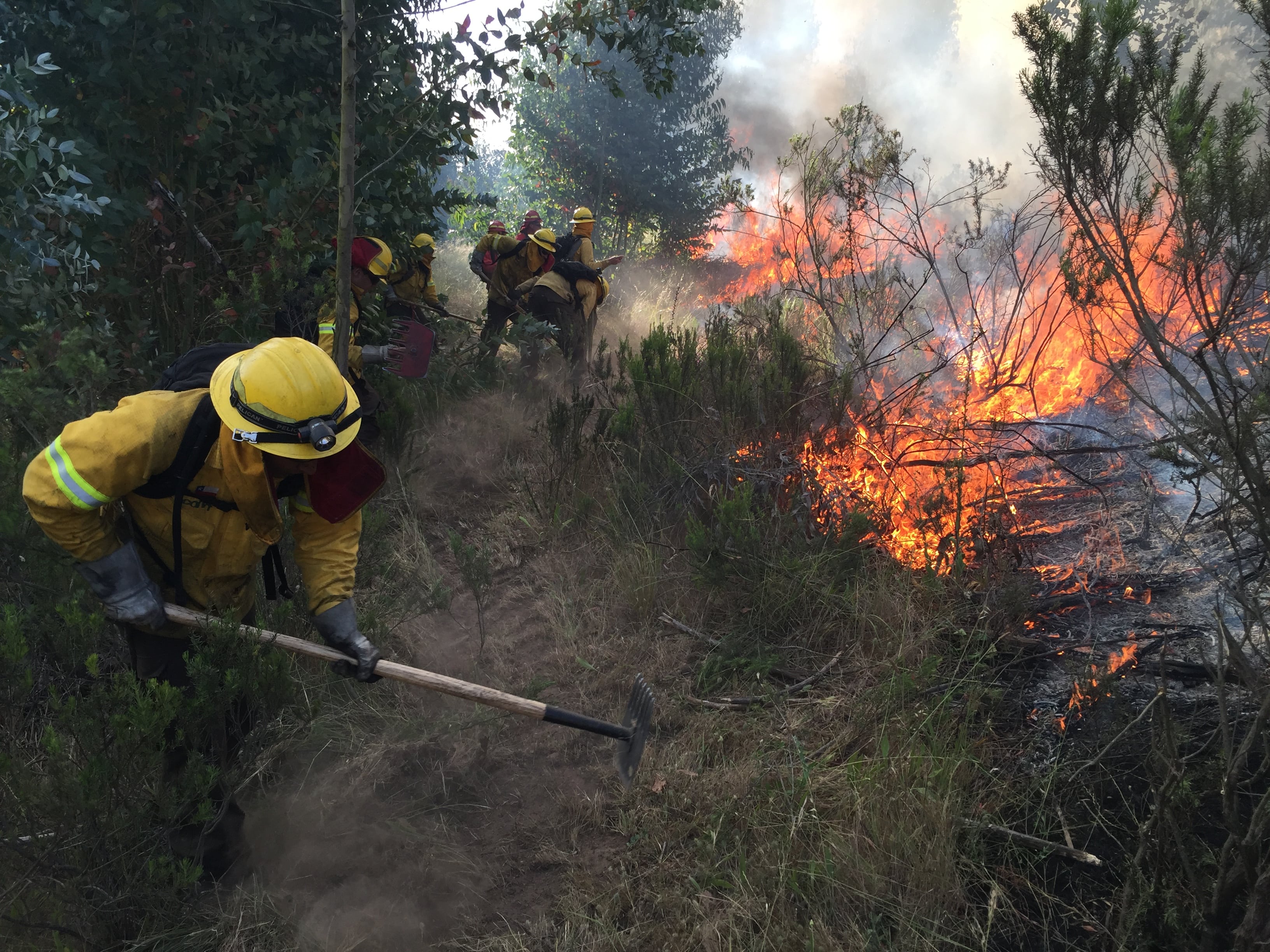 Autoridades llaman a prevenir incendios forestales ante altas temperaturas en la región de Valparaíso