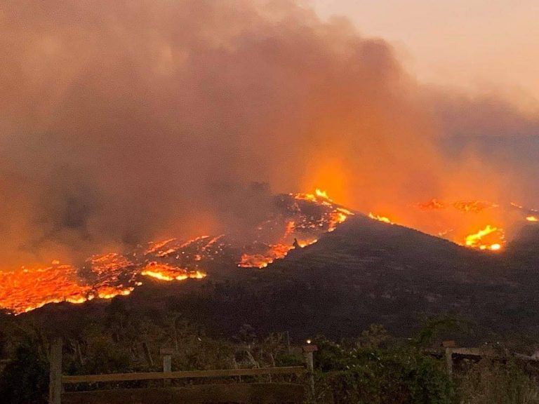 Ola de incendios en la región de La Araucanía afecta a más de 100 personas