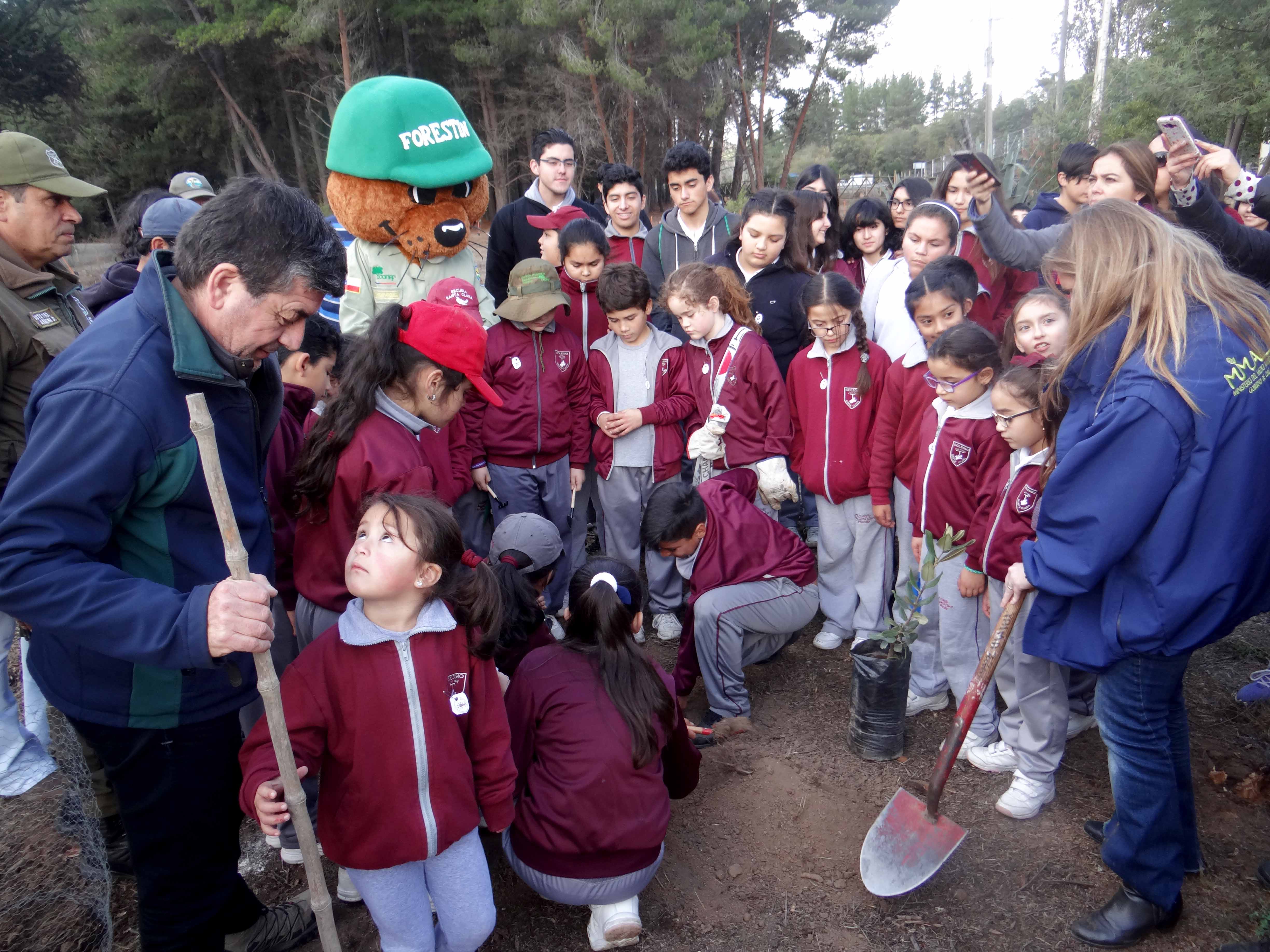 Estudiantes de Placilla plantan árboles nativos para generar inédito arboretum en Reserva Lago Peñuelas