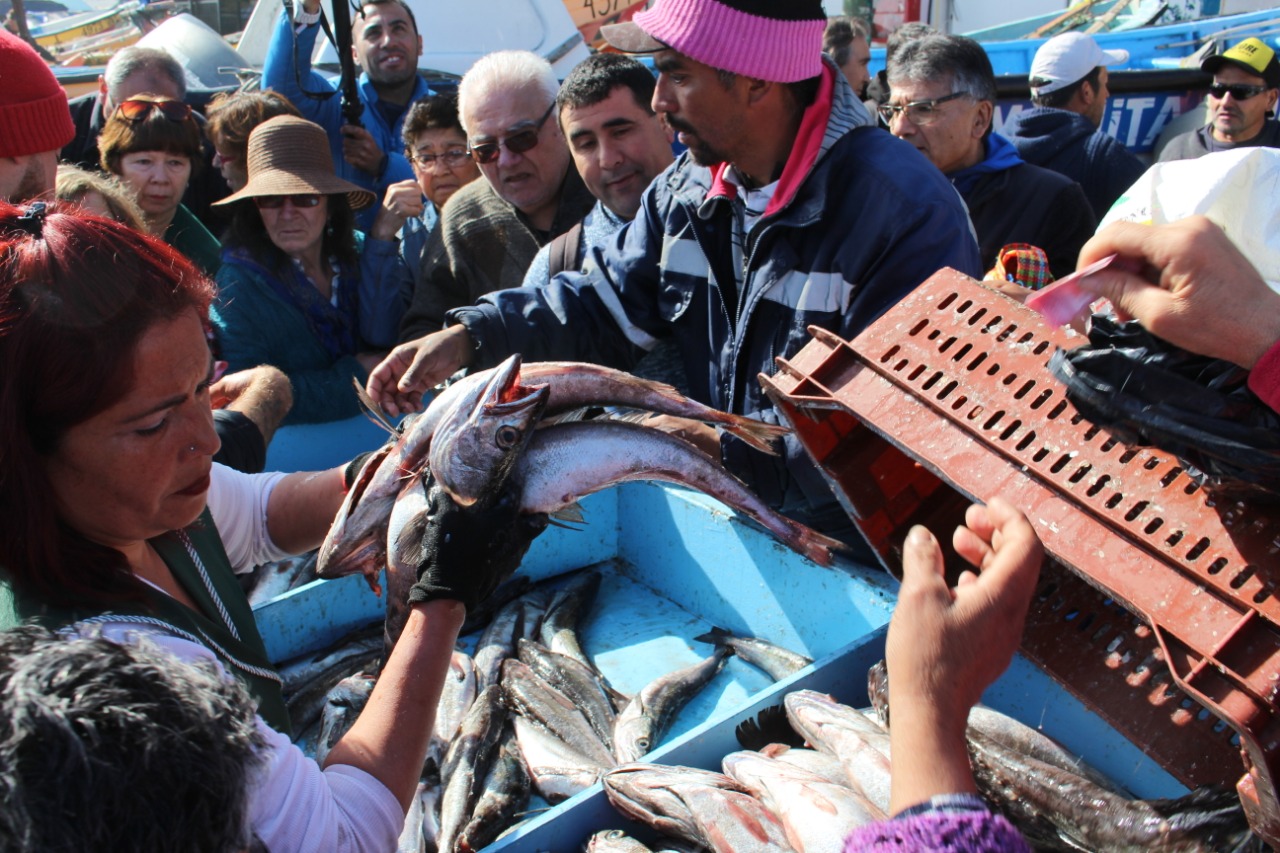 Sernapesca lanza campaña “Paremos el Merluzeo” para proteger la “pescada” en septiembre