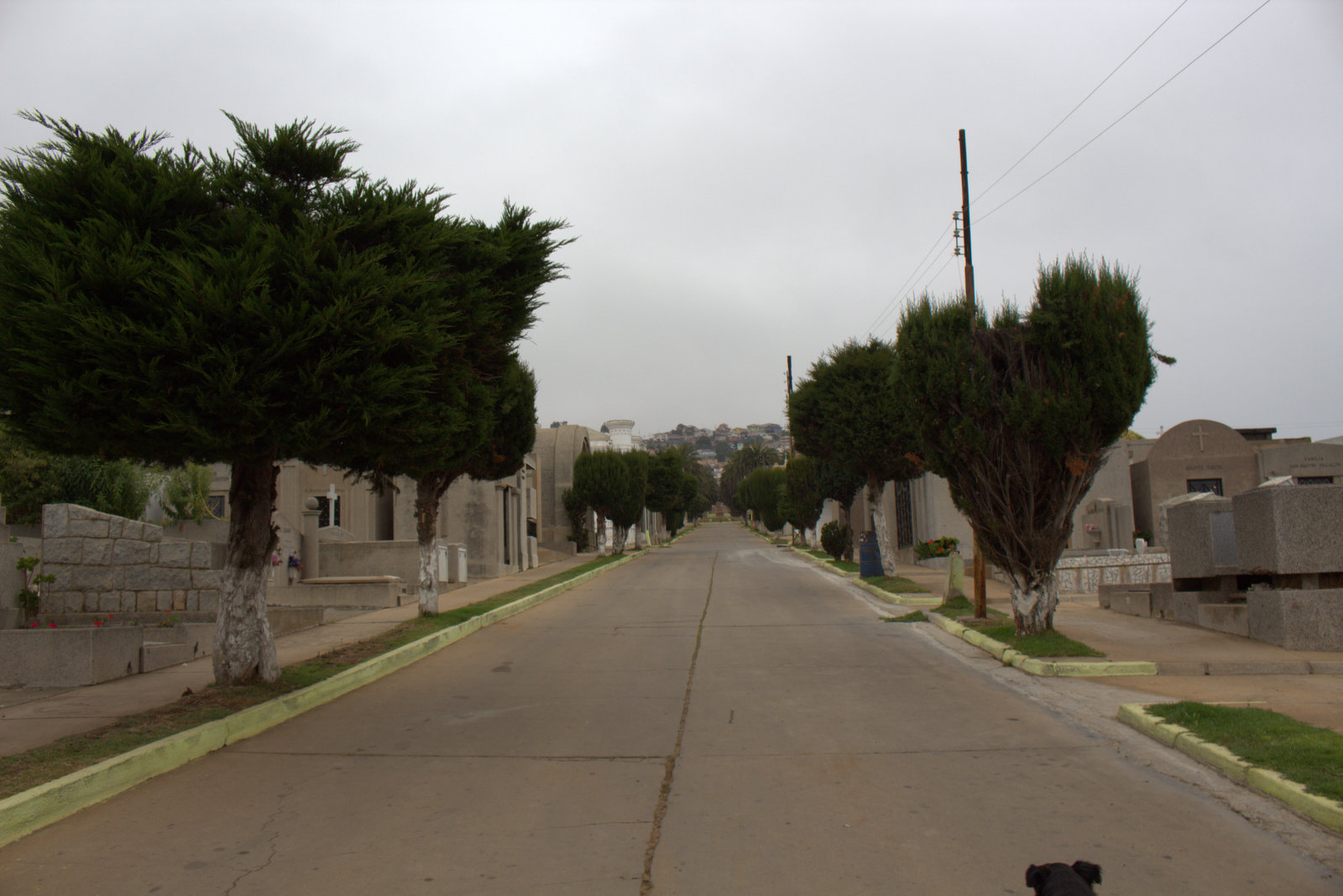 Municipalidad de Valparaíso retomará la administración de los cementerios porteños