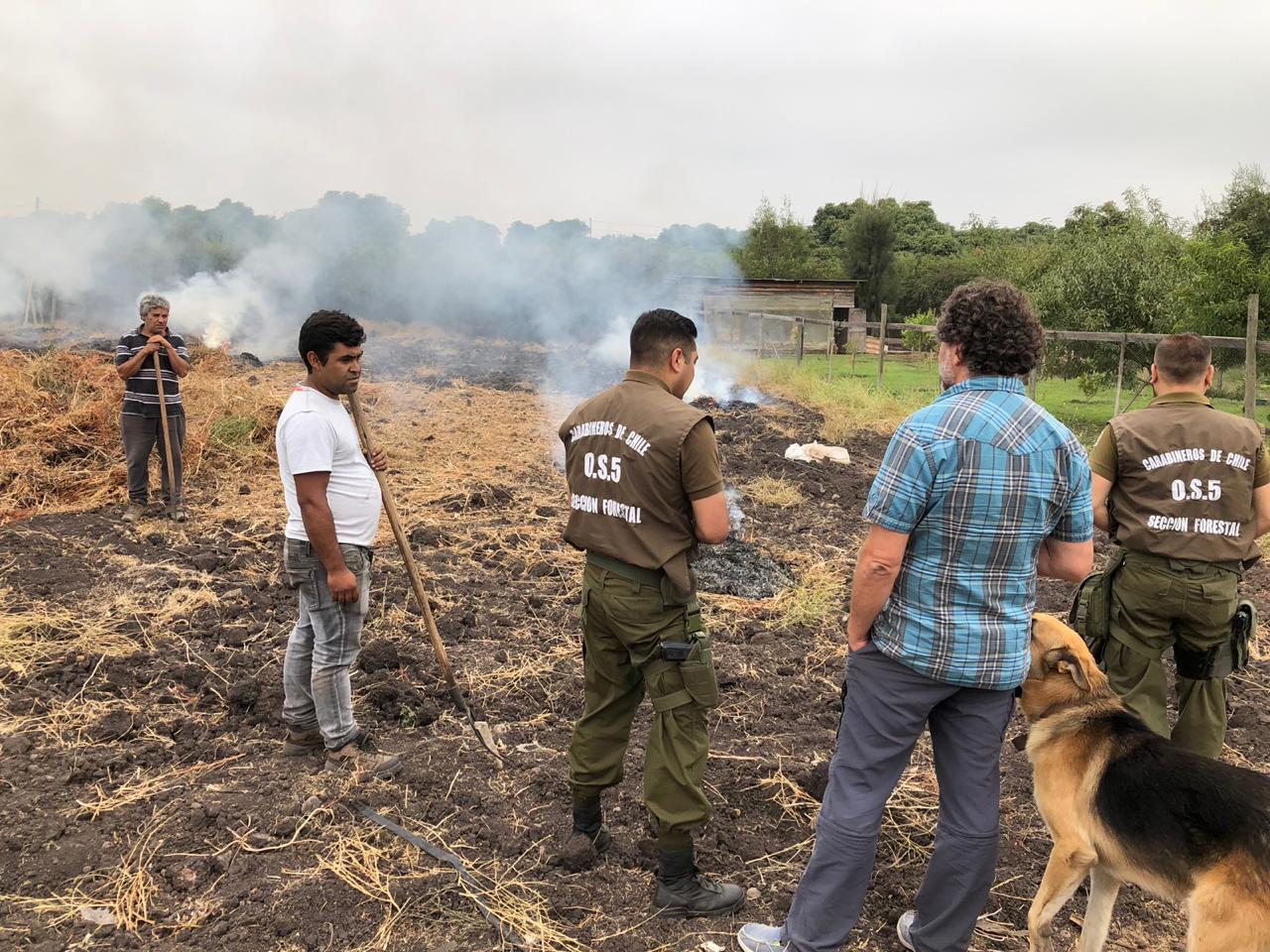 CONAF prohibirá las quemas de desechos agrícolas y forestales durante todo el mes de septiembre