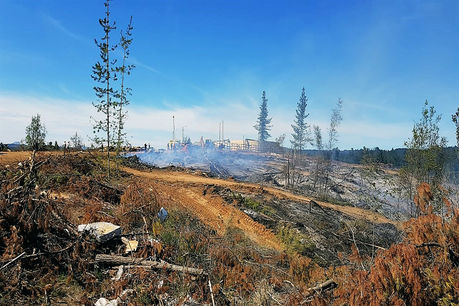 Alerta Roja en Valparaíso: Continúa el combate del incendio forestal “La Foresta” en Placilla