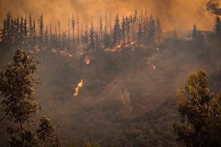Declararon alerta roja en Molina por incendio forestal que amenaza con llegar al parque Siete Tazas