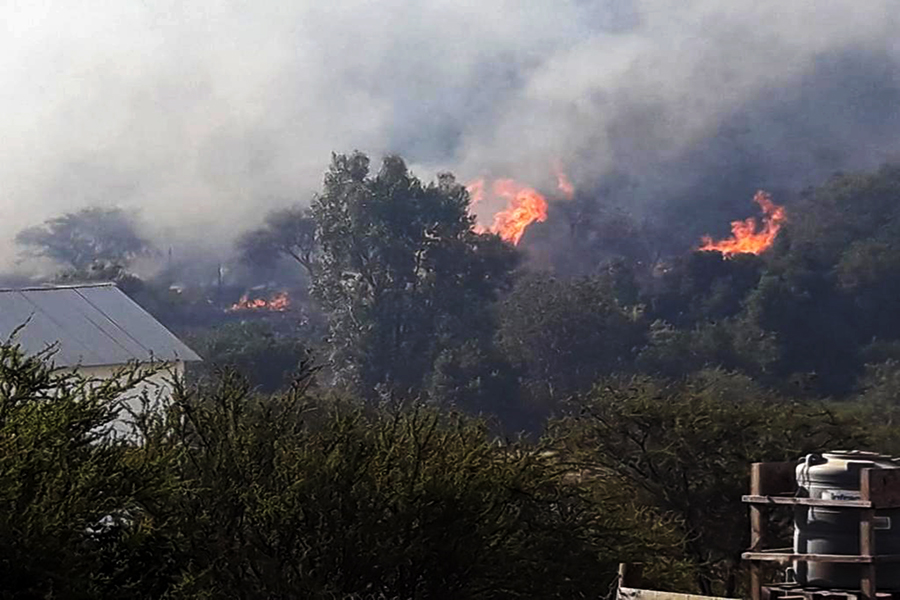 Provincia de Marga Marga presenta notable baja en ocurrencia de incendios forestales.