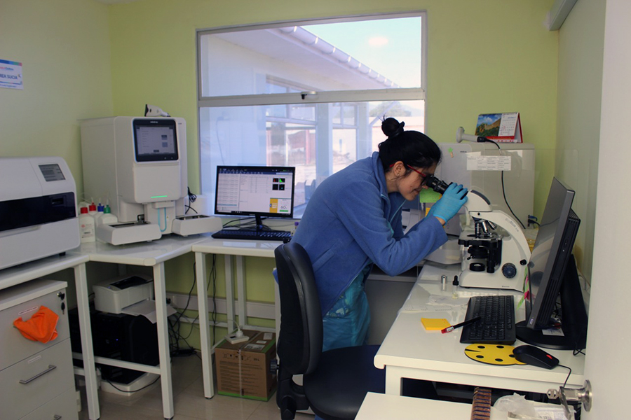 Laboratorio Municipal de Quillota podrá realizar exámenes de PCR en la comuna