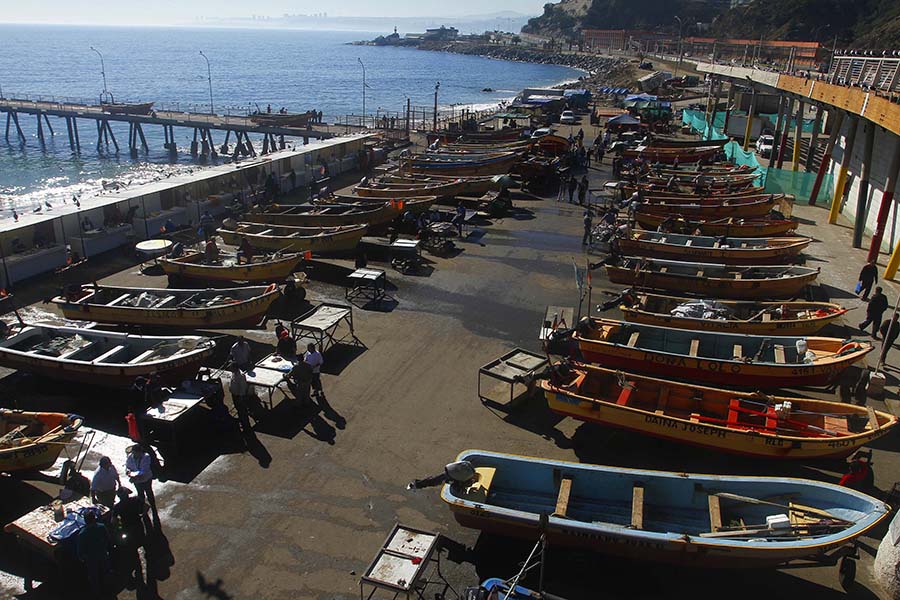 En la Región de Valparaíso: Subpesca anticipa inicio de la temporada de captura del bacalao