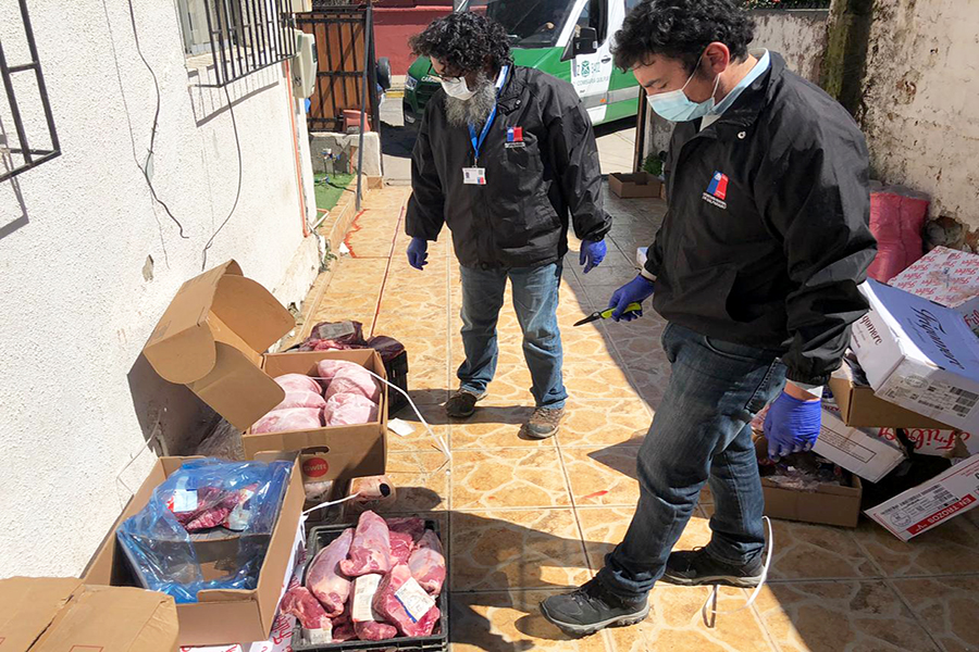 Más de 750 kilos de carne de venta clandestina fueron decomisados por la autoridad sanitaria en Quilpué.