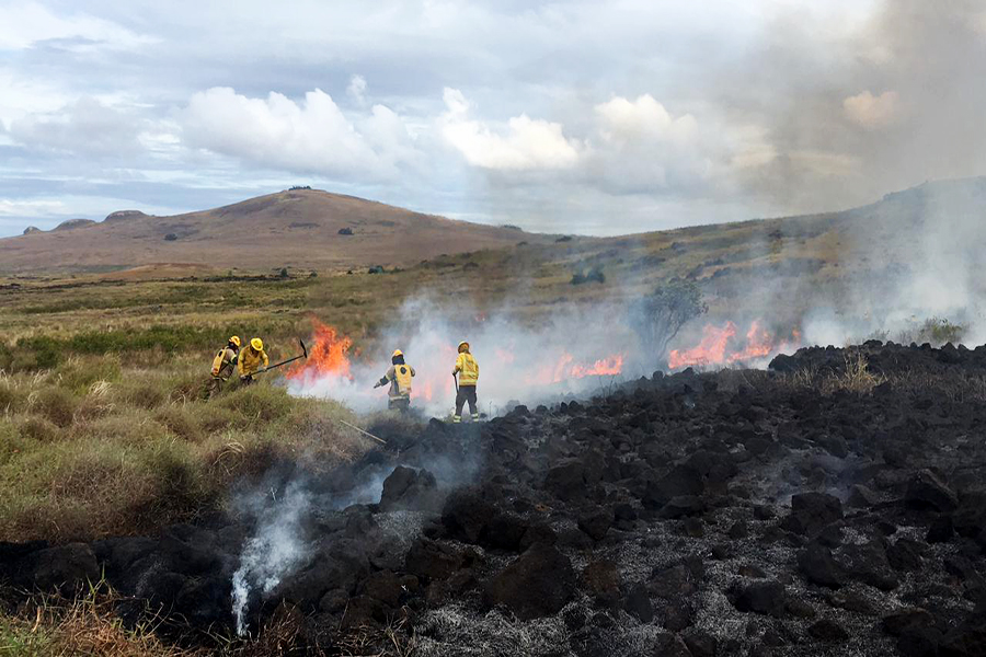 Comunidad de Rapa Nui asume incendios  forestales como un tema social y cultural