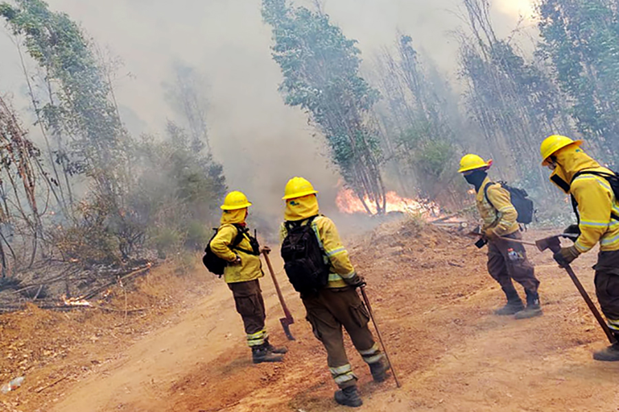 Conaf resalta la labor de más de 400 brigadistas que luchan contra el fuego en Valparaíso