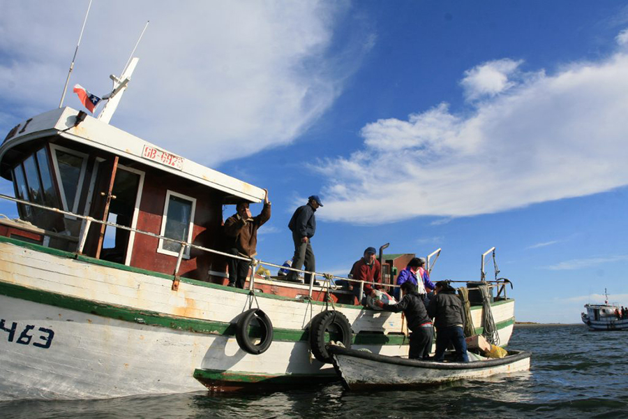 Sala despachó proyecto que permite incluir a los pescadores artesanales en Ley del “Bono Alivio”