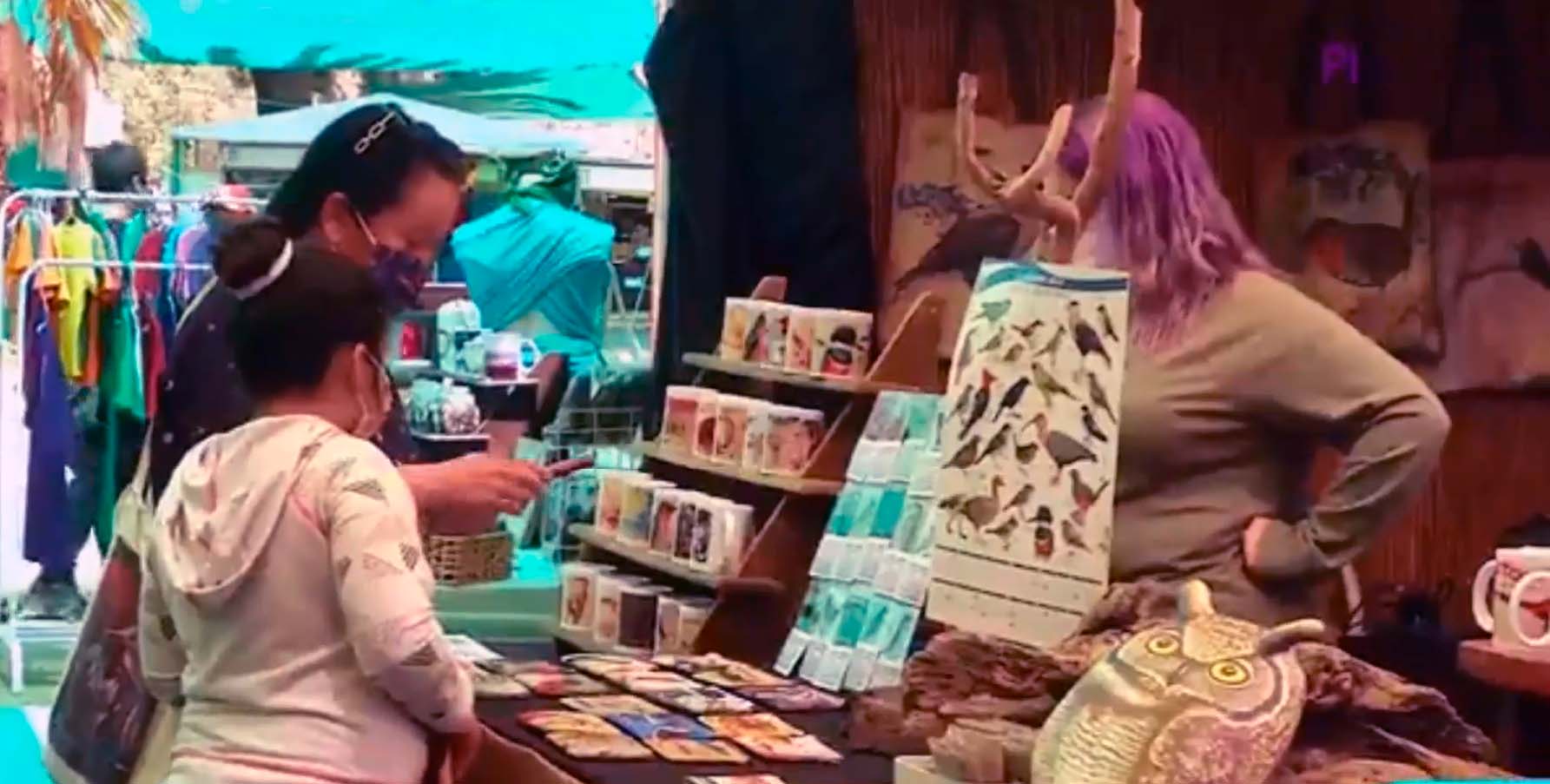 PANORAMAS EN VIÑA DEL MAR FERIA DE ARTESANÍA EN LA QUINTA VERGARA