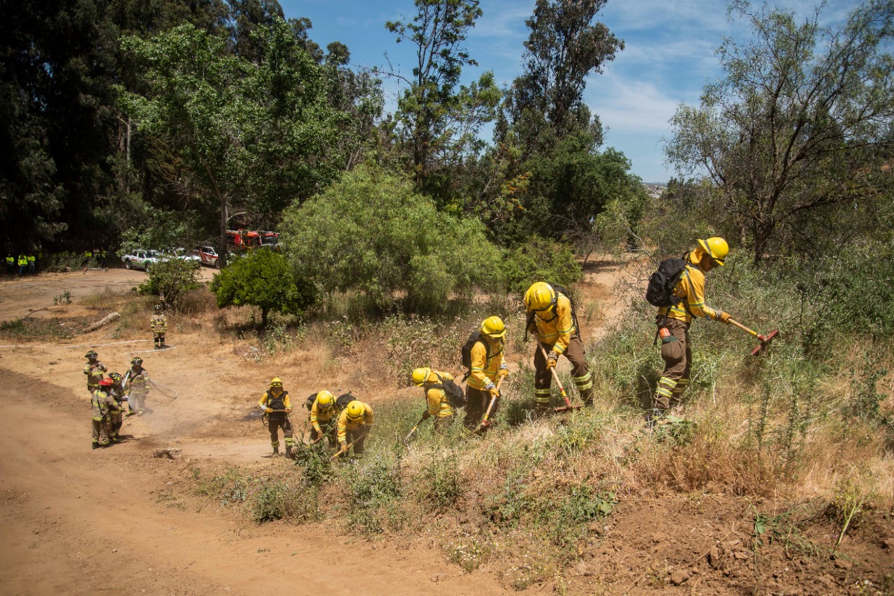 Con marcado sello comunitario Quilpué enfrenta temporada de mayor riesgo de incendios forestales