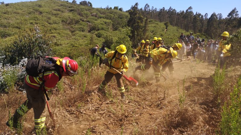 Universitarios de Valparaíso se capacitan en prevención de incendios forestales