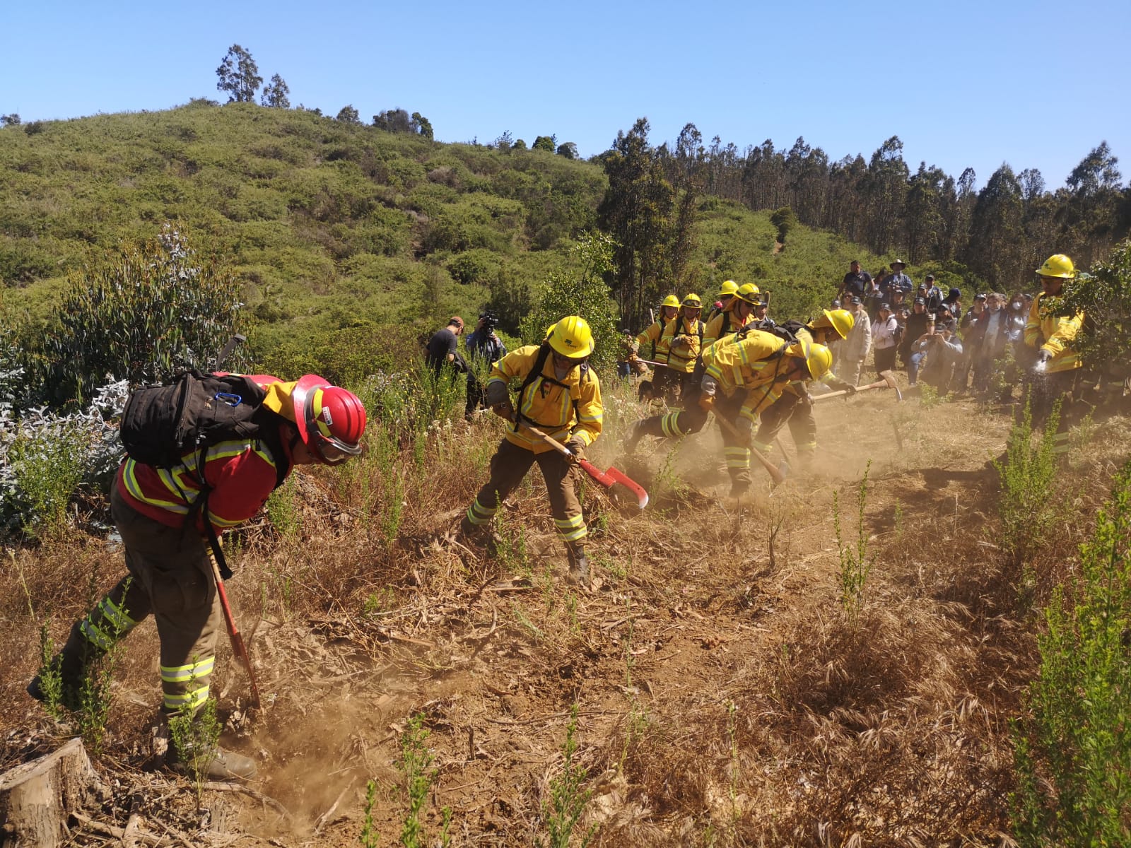 Universitarios de Valparaíso se capacitan en prevención de incendios forestales