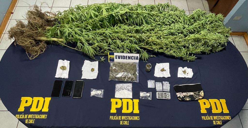 PDI incauta en Isla de Pascua encomiendas contenedoras de droga