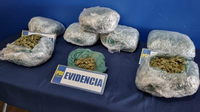 PDI Los Andes desarticula a último brazo operativo de banda que distribuía droga en la zona central