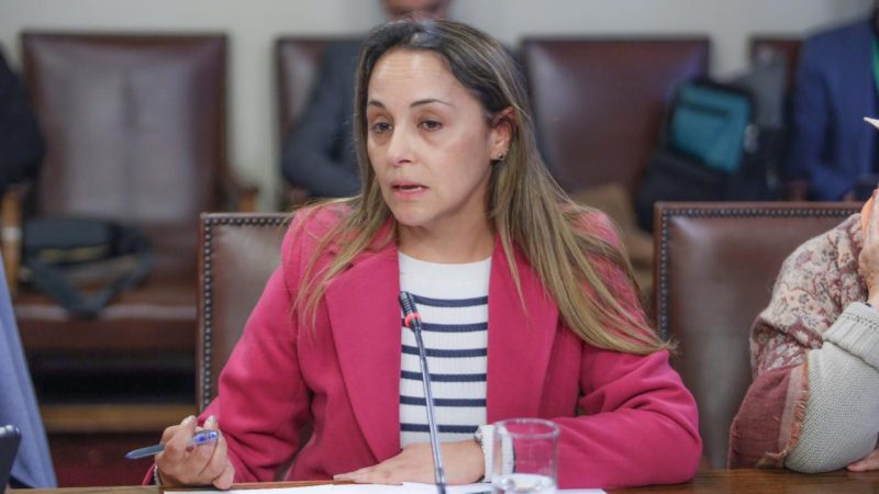 Denuncian incumplimiento en nueva ley de pensión de alimentos:  Diputada Carla Morales pide  avanzar en procesos tecnológicos que permitan cumplir la normativa