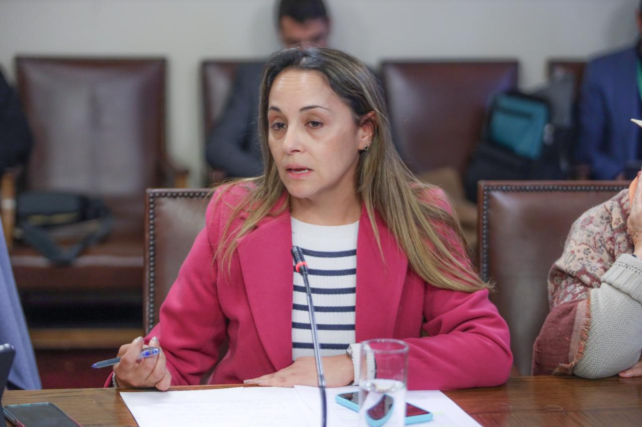 Denuncian incumplimiento en nueva ley de pensión de alimentos:  Diputada Carla Morales pide  avanzar en procesos tecnológicos que permitan cumplir la normativa