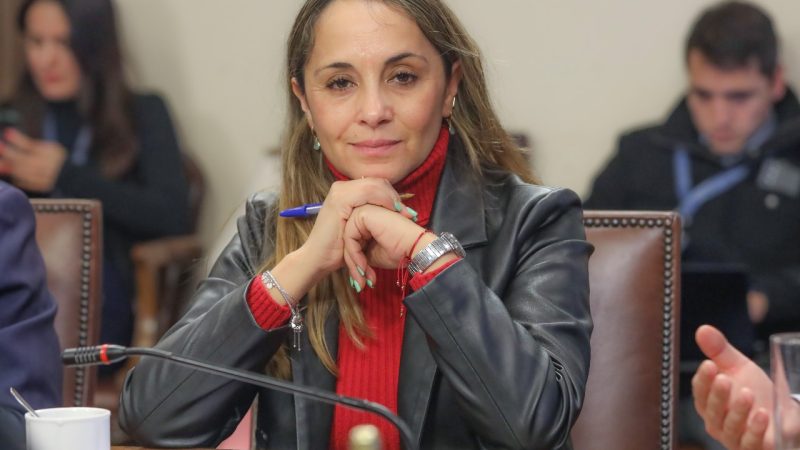 Diputada Carla Morales invita a ministra de Desarrollo Social a Comisión de la Cámara Baja para exponer sobre pobreza multidimensional en Chile