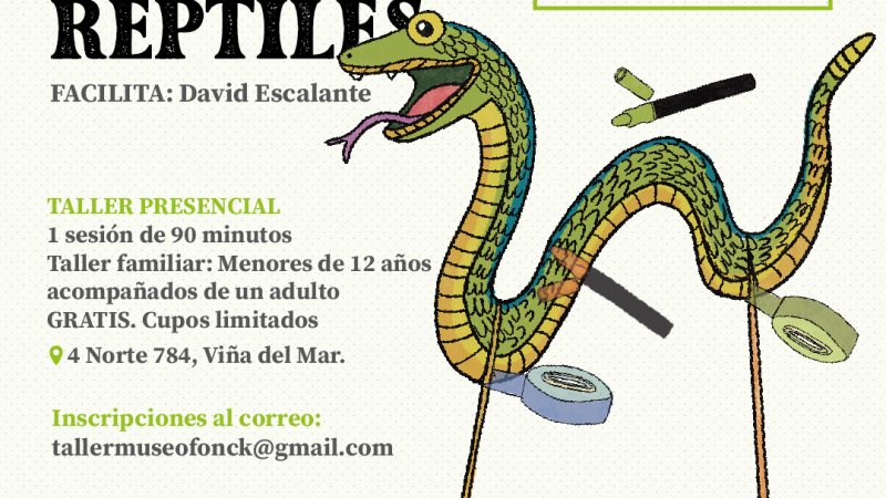 Museo Fonck te invita a participar de taller gratuito para fabricar un títere inspirado en un reptil