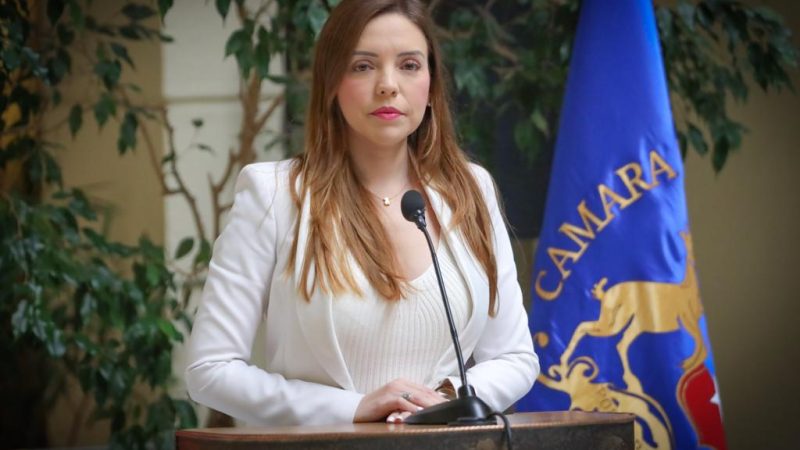 Diputada Camila Flores acusa “desconexión total” del Gobierno tras contradicción en cifras de homicidios en la región de Valparaíso