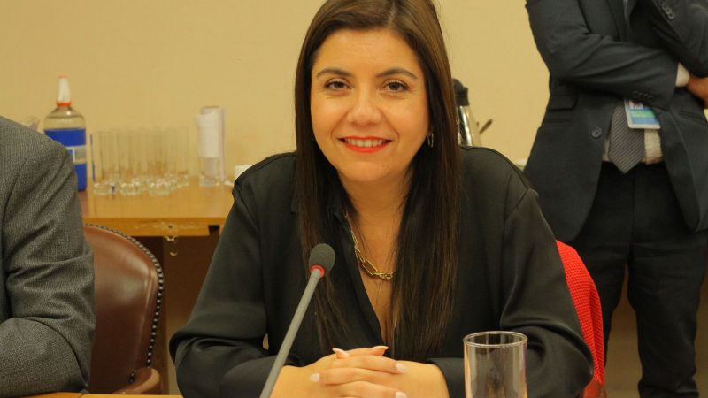 Avanza proyecto de Ley de Socavones en el Congreso: Comisión de Vivienda aprobó de forma unánime iniciativa de diputada Danisa Astudillo